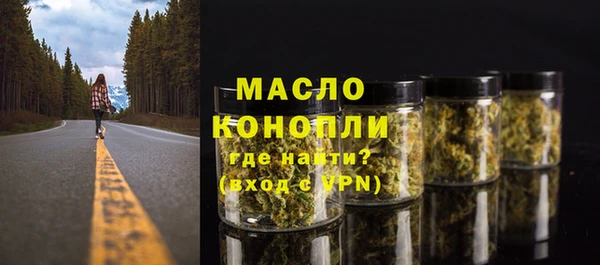 скорость Гусев