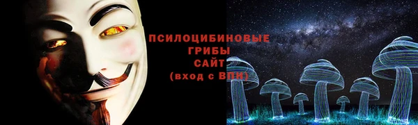 скорость Гусев