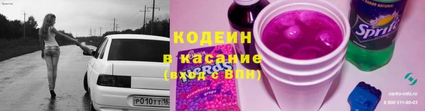 скорость Гусев