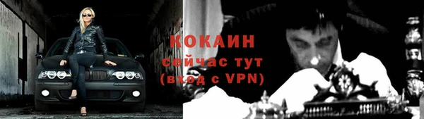 мяу мяу мука Гусь-Хрустальный