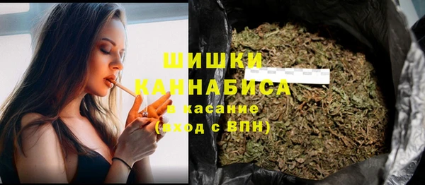мяу мяу мука Гусь-Хрустальный