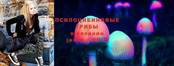 мяу мяу мука Гусь-Хрустальный
