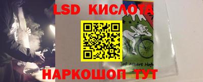 прущие грибы Малгобек