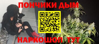 прущие грибы Малгобек